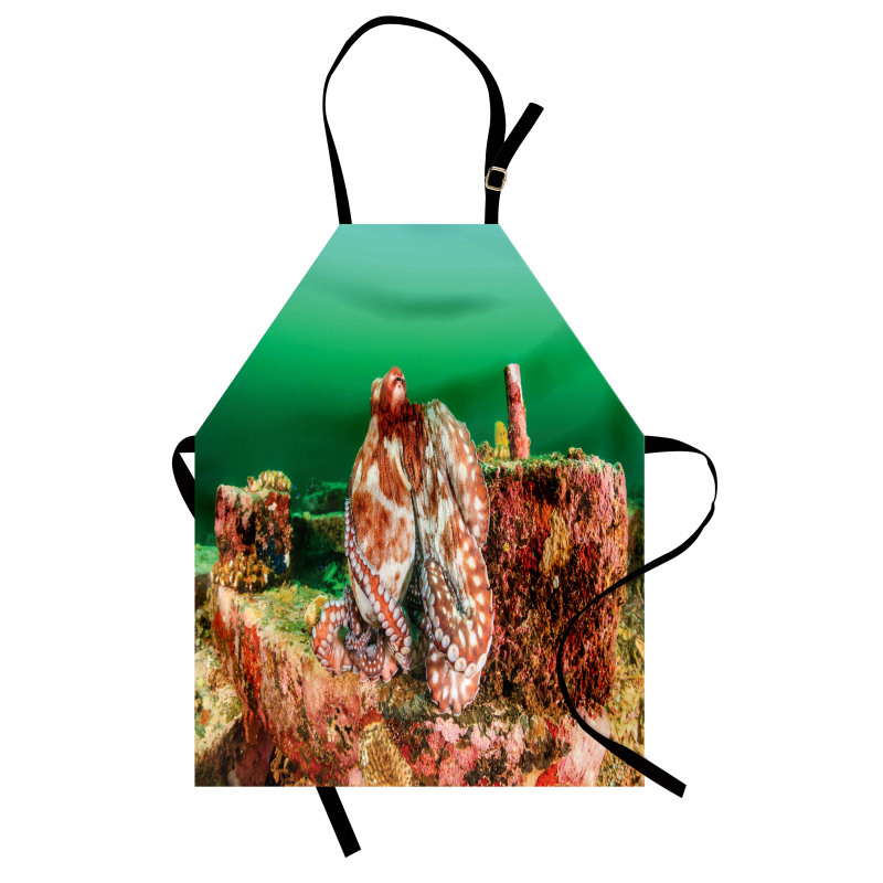 Octopus in Water Apron