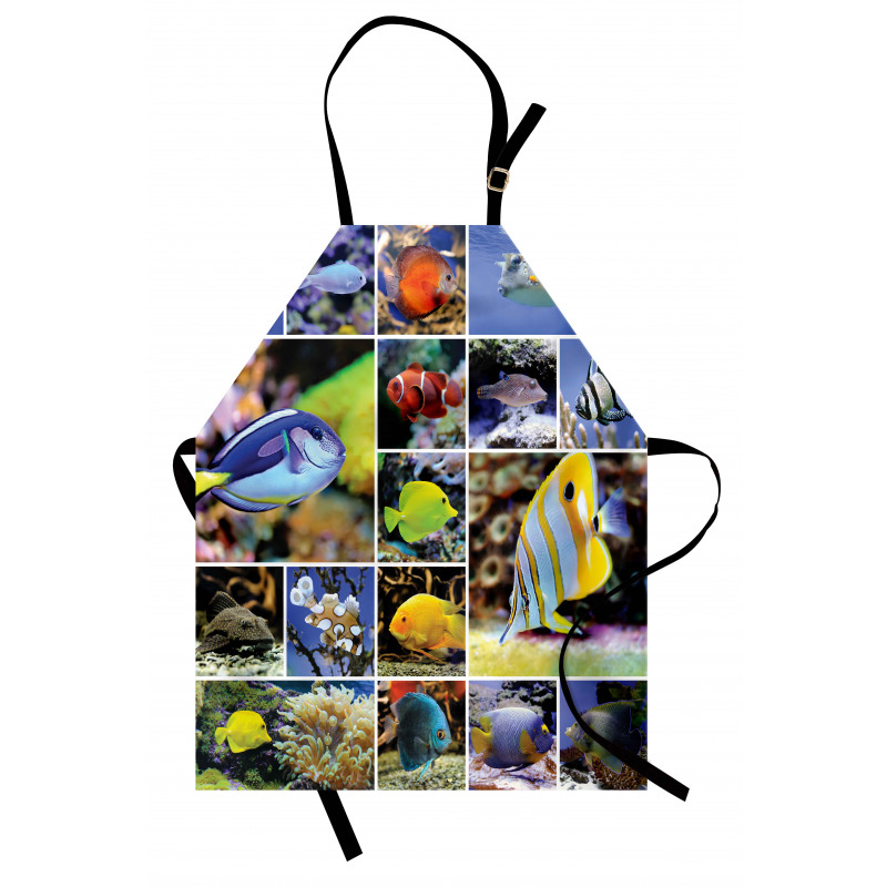 Collage of Underwater Apron