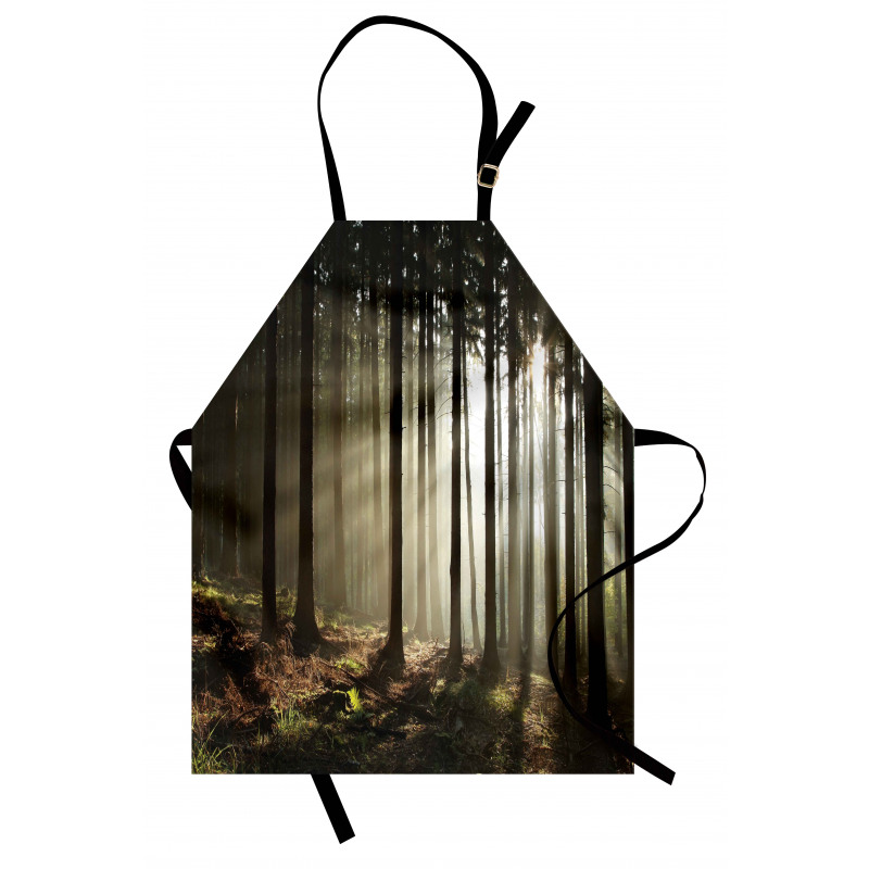 Morning Forest Scenery Apron