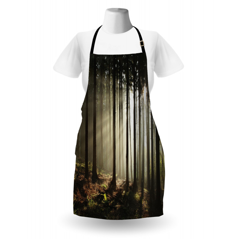 Morning Forest Scenery Apron