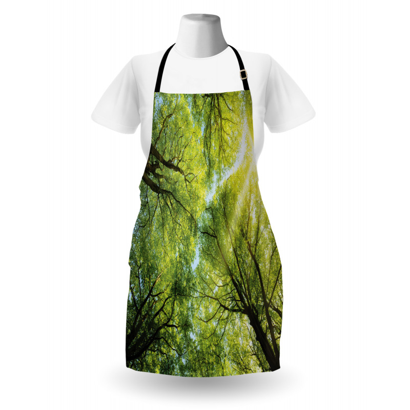 Romantic Beech Trees Apron