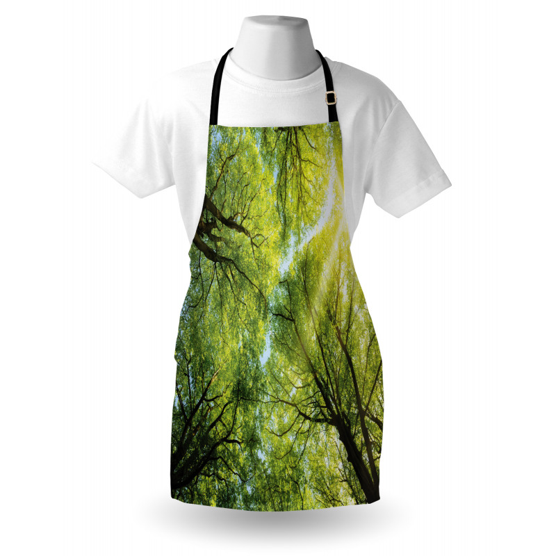 Romantic Beech Trees Apron