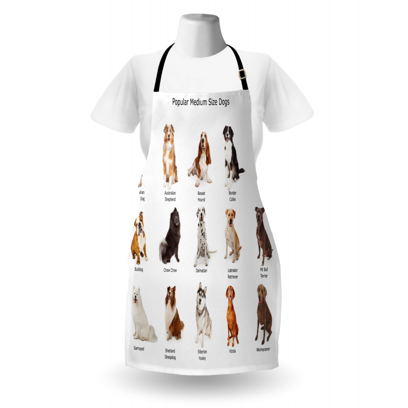 Puppy Breeds Family Apron