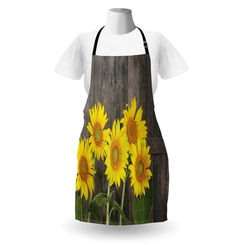 Helianthus Sunflowers Apron