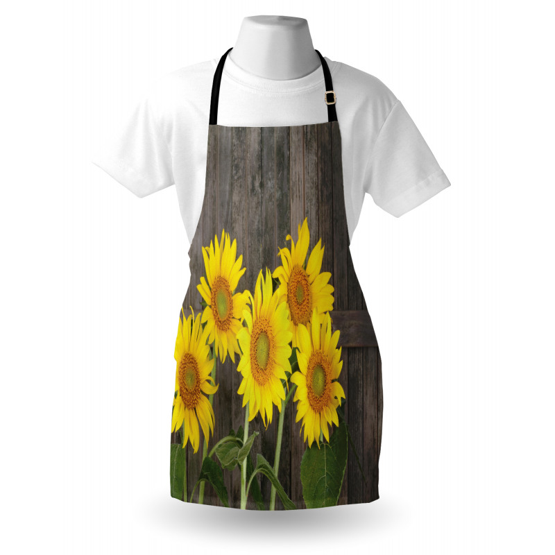 Helianthus Sunflowers Apron