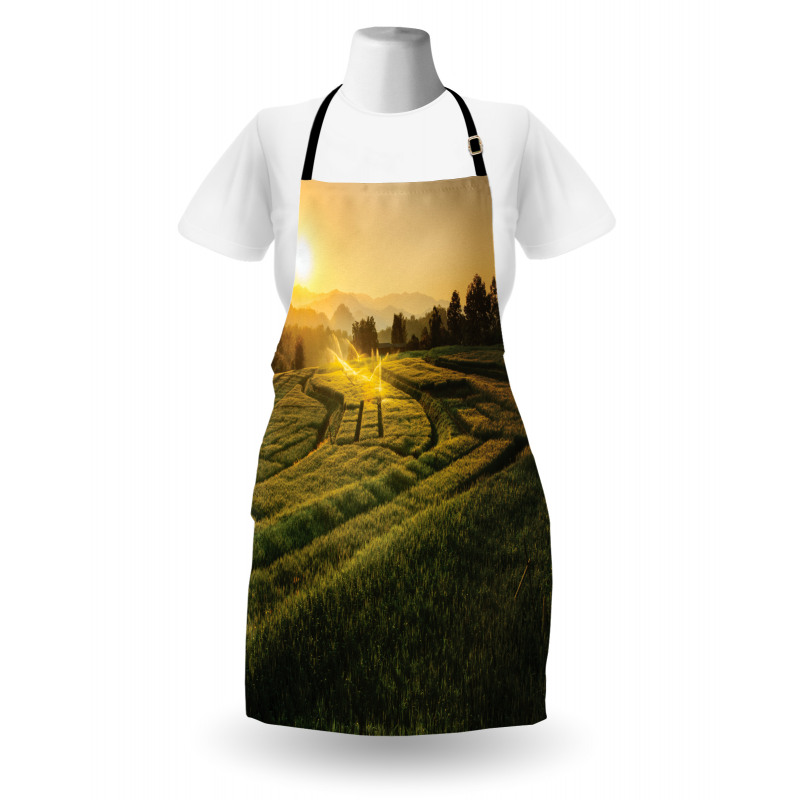 Barley Woods Sunset Apron