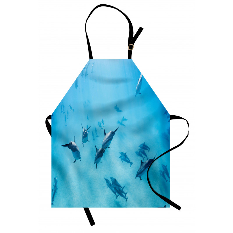 Dolphins Hawaii Ocean Apron