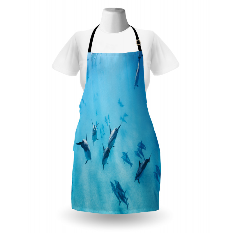 Dolphins Hawaii Ocean Apron