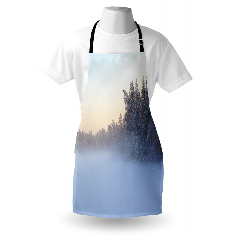 Frozen Lake in Woods Apron