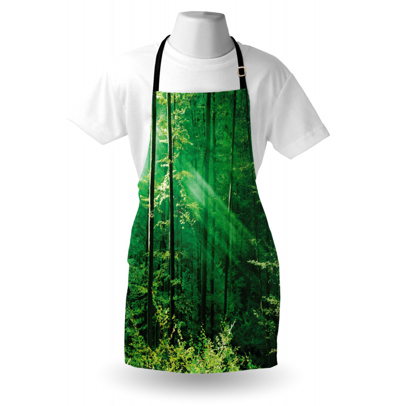 Forest Trees Morning Apron