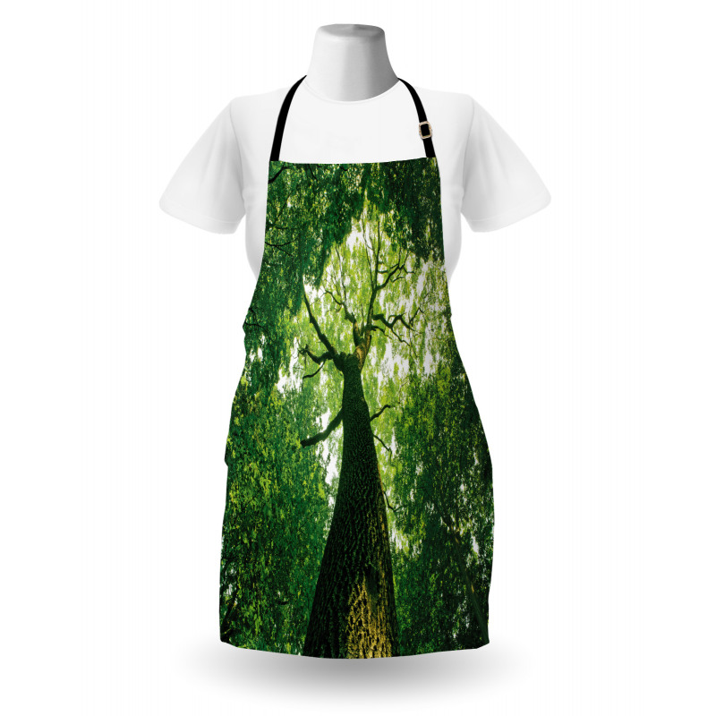 Leaves Tree Branches Apron