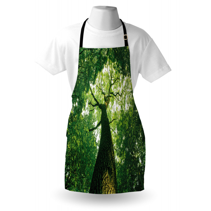 Leaves Tree Branches Apron