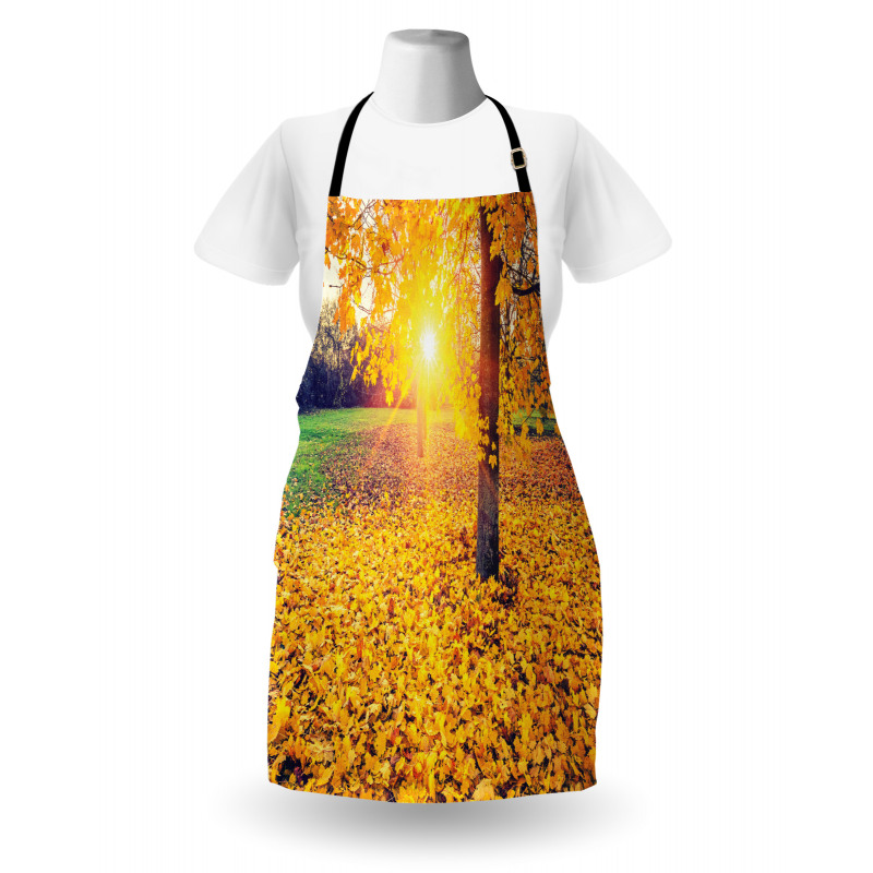 Evening Natural Park Apron