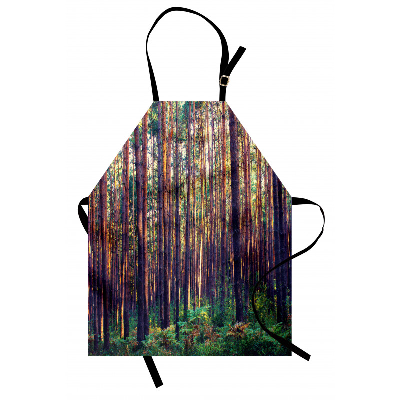Fall Trees Forest Trunks Apron