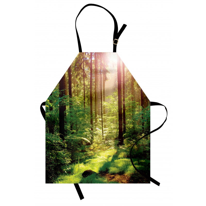 Sunset Moss Woods Trees Apron