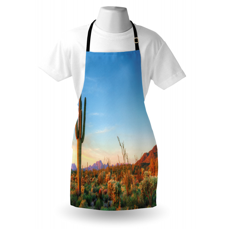 Sun in Desert Cactus Apron