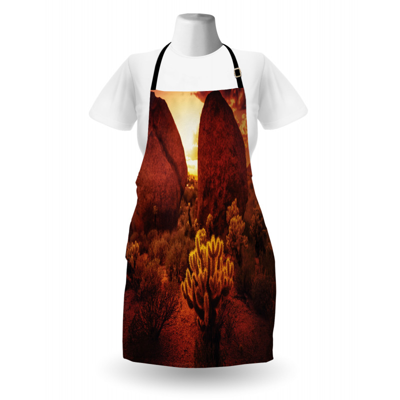 Cactus Rocks Desert Scenery Apron