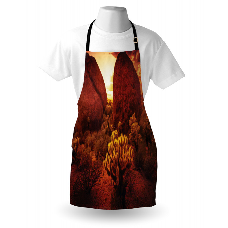 Cactus Rocks Desert Scenery Apron