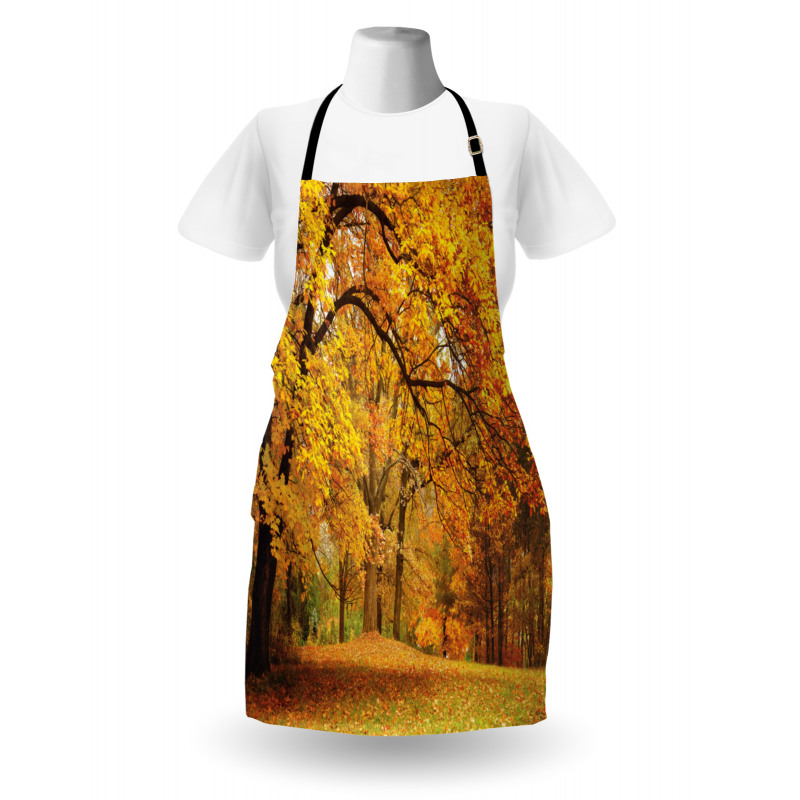 Fall Pale Maple Trees Apron