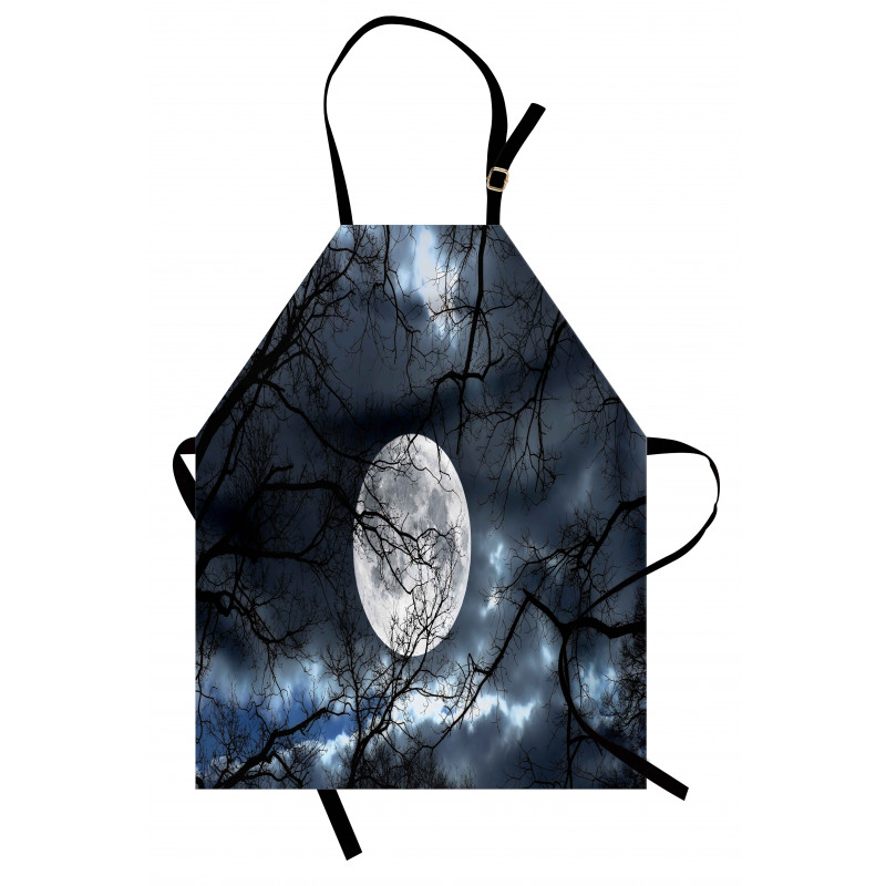 Moon at Night in Forest Apron