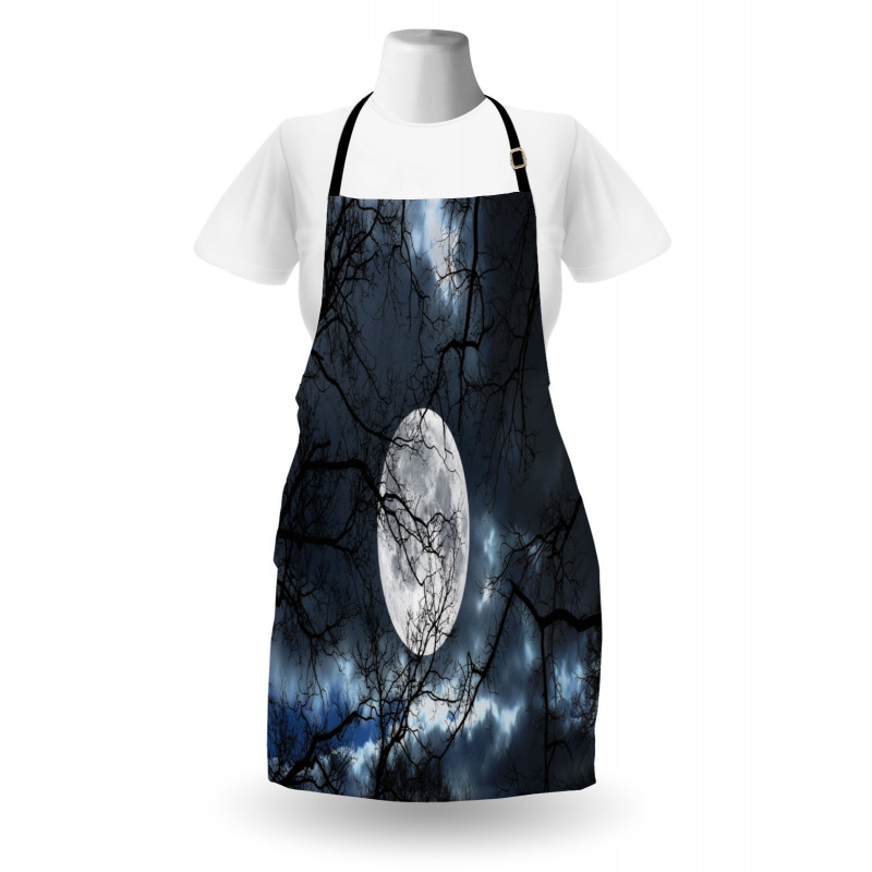 Moon at Night in Forest Apron