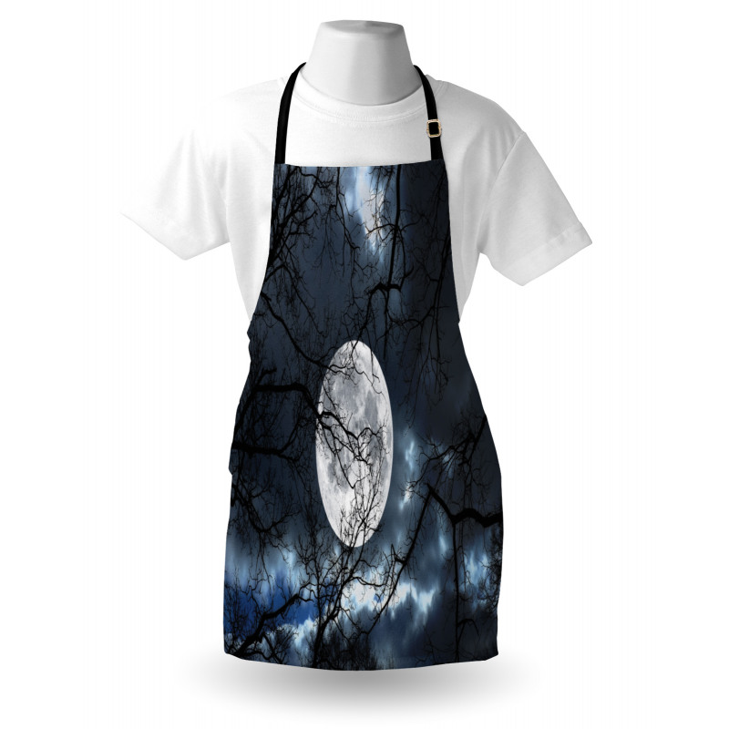 Moon at Night in Forest Apron