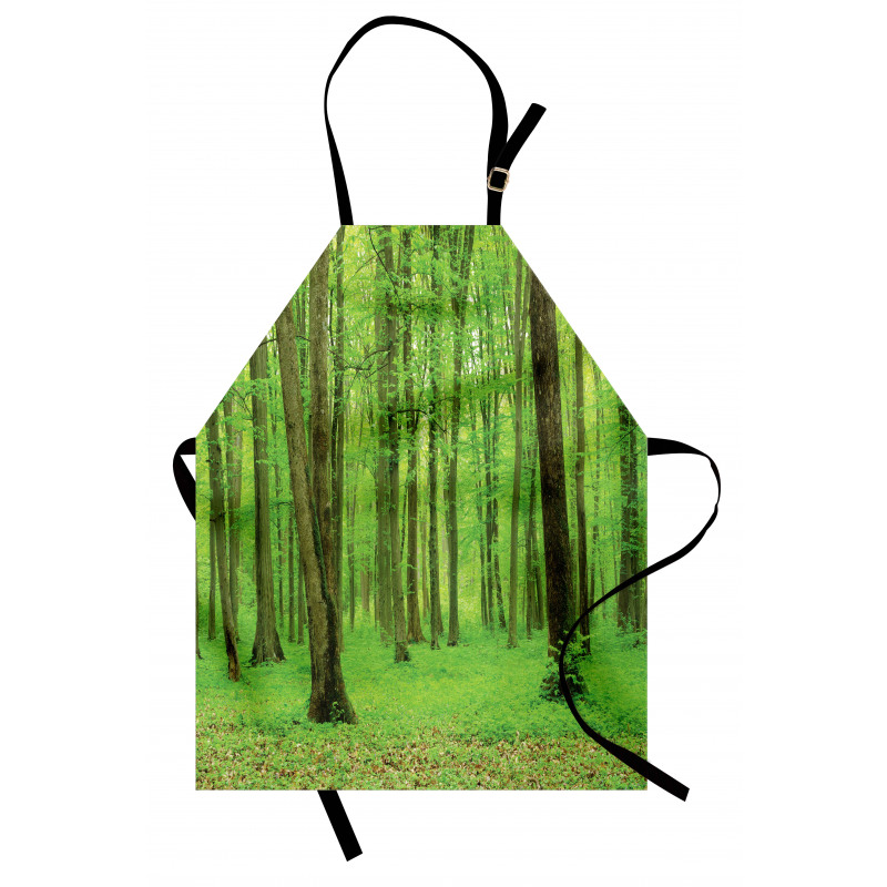 Forest in a Sunny Day Apron