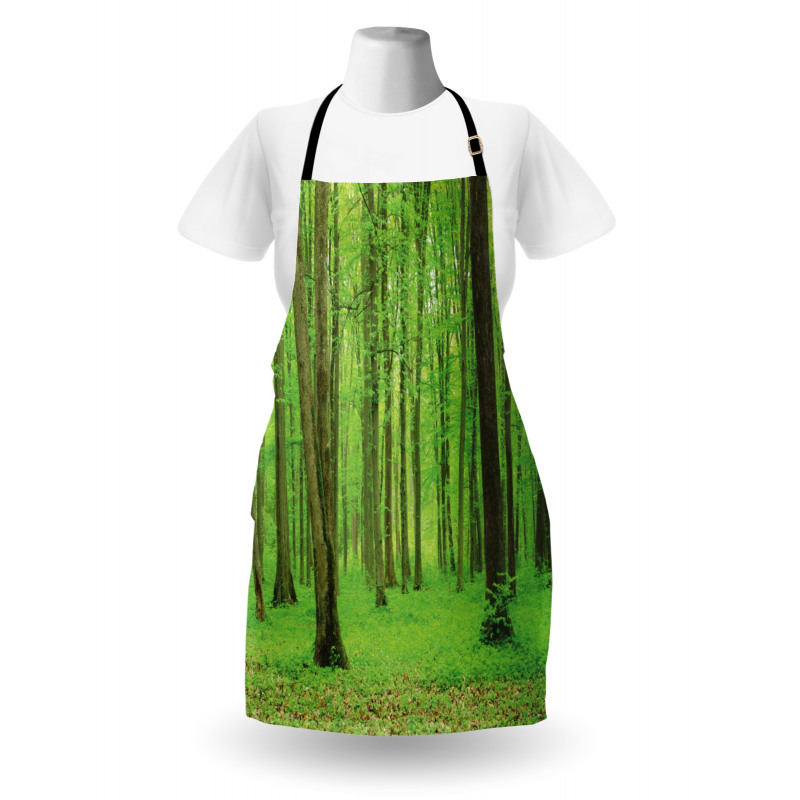 Forest in a Sunny Day Apron