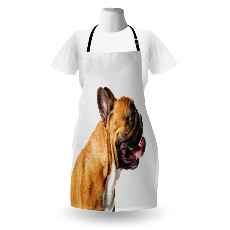 Young Pet Posing Side Shot Apron