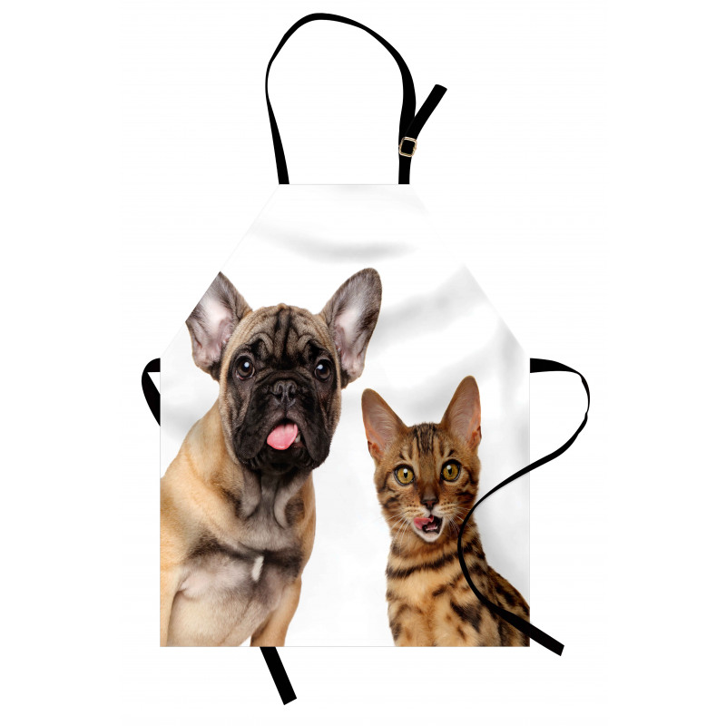 Cat and Dog Shocked Staring Apron