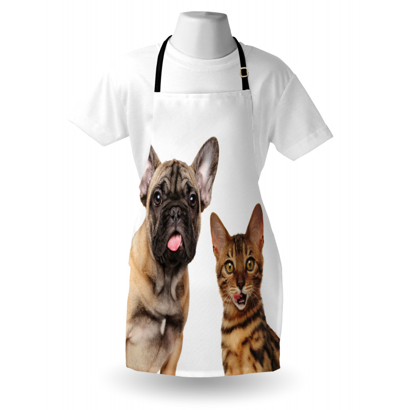 Cat and Dog Shocked Staring Apron