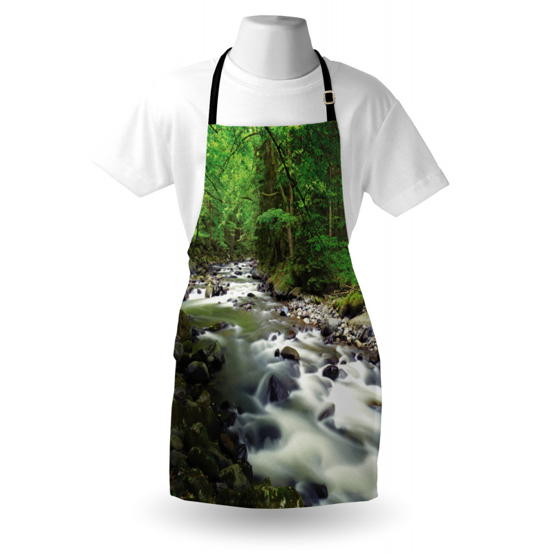 Riverbed Rocks Trees Apron