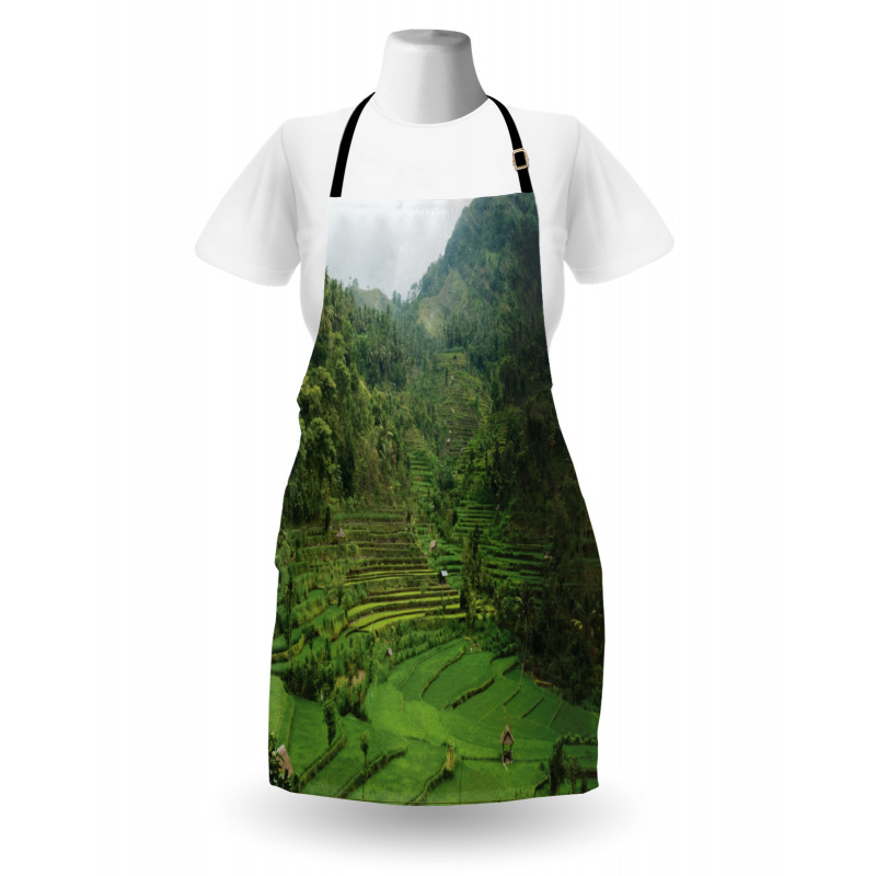 Rice Paddies Apron