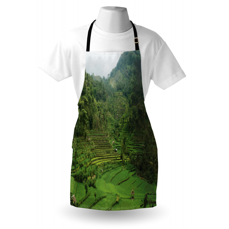 Rice Paddies Apron