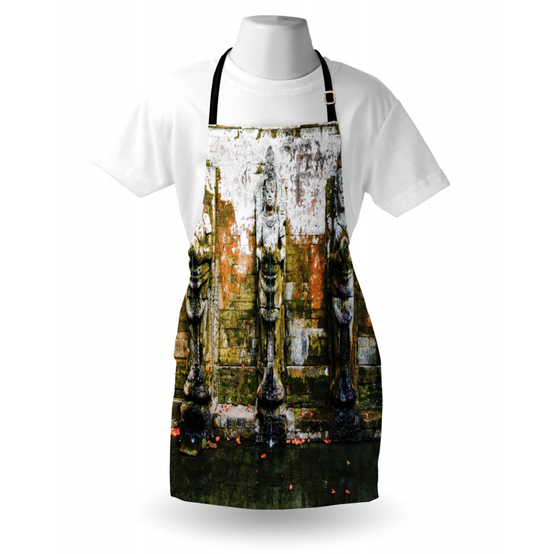 Building in Balinese Asia Apron