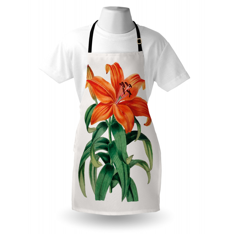 Thunberg's Lily Art Apron