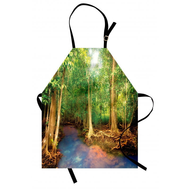 Roots of Mangrove Trees Apron