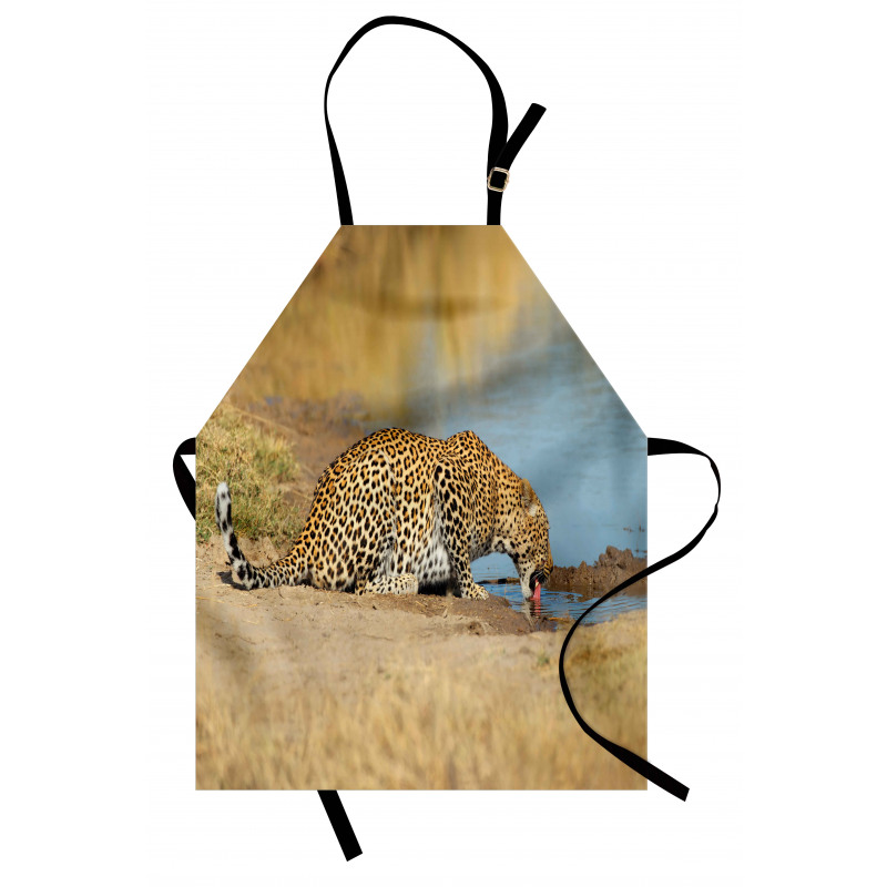 Leopard in Safari Apron