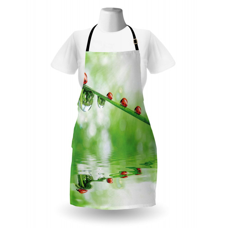 Ladybug on Water Image Apron