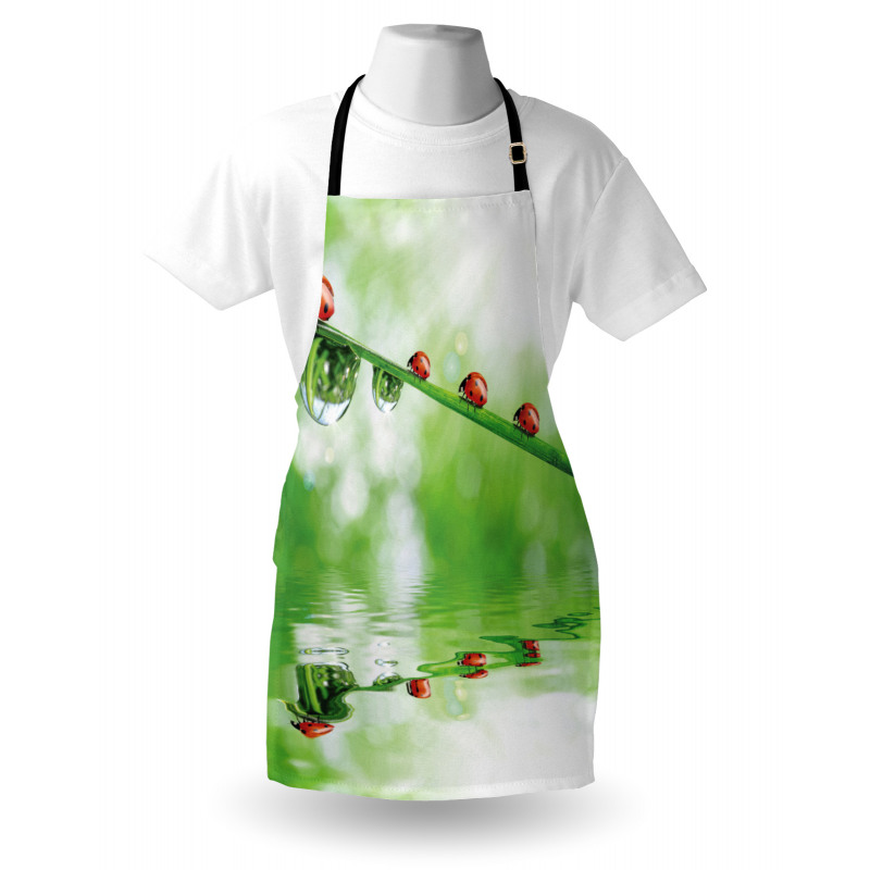 Ladybug on Water Image Apron