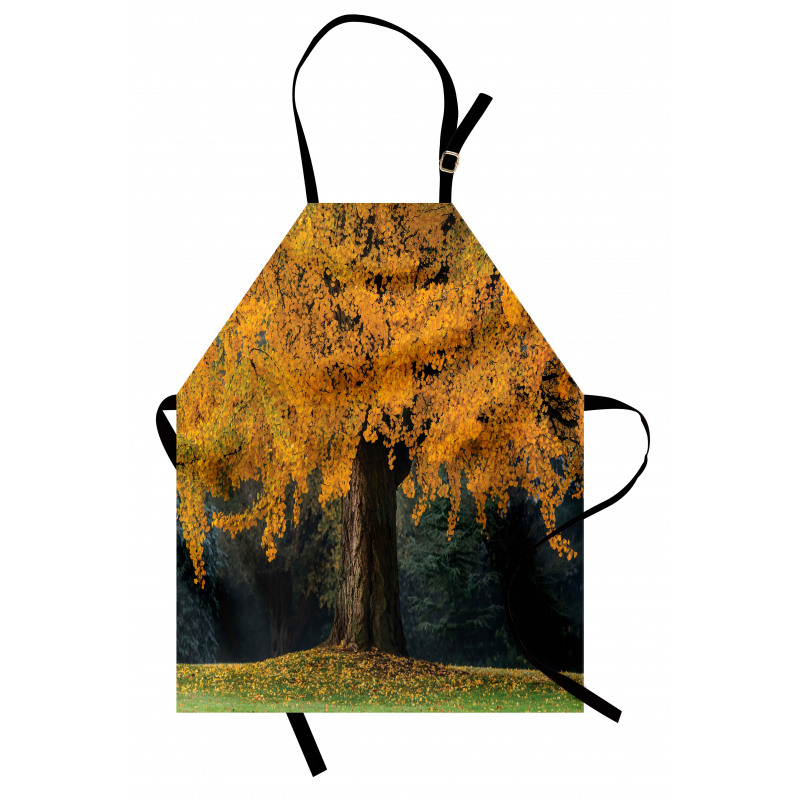 Leaves Tree Autumn Season Apron