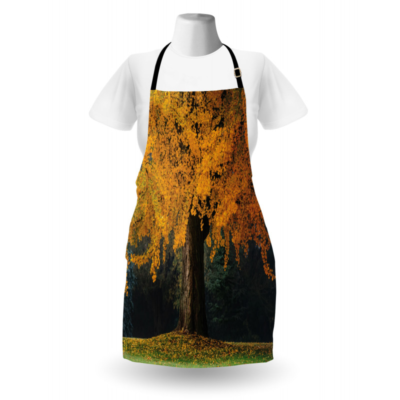 Leaves Tree Autumn Season Apron