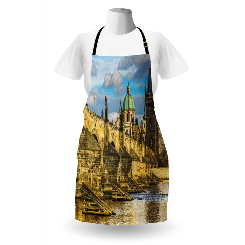 Czech Antique Castle Apron