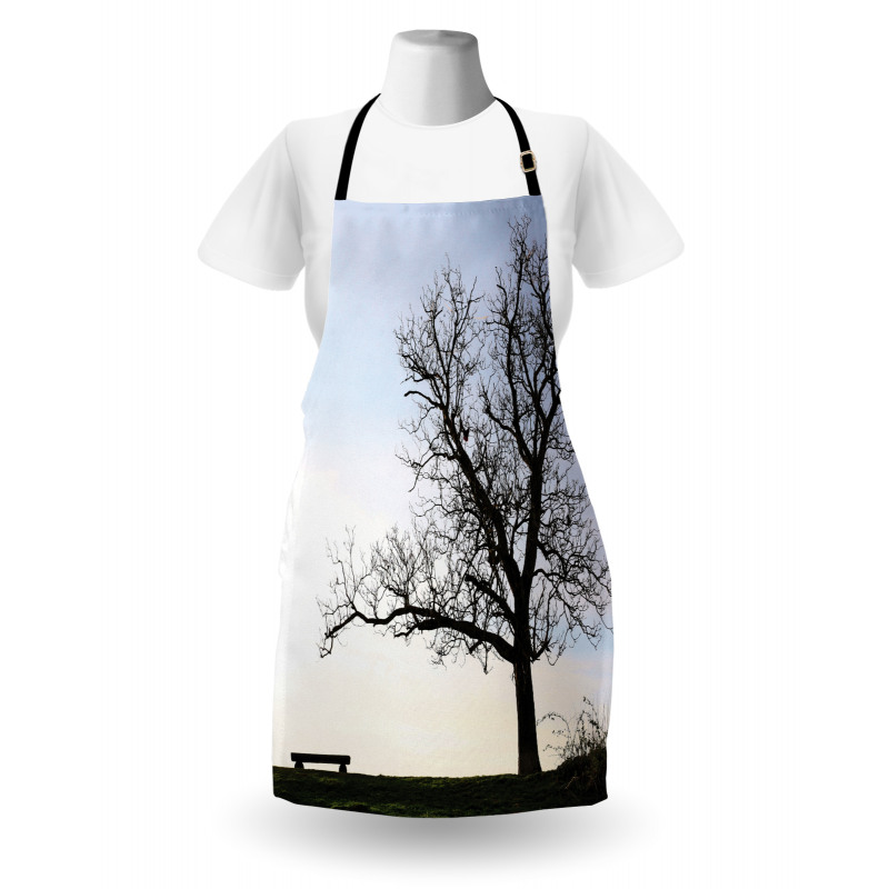 Wooden Bench Evening Apron