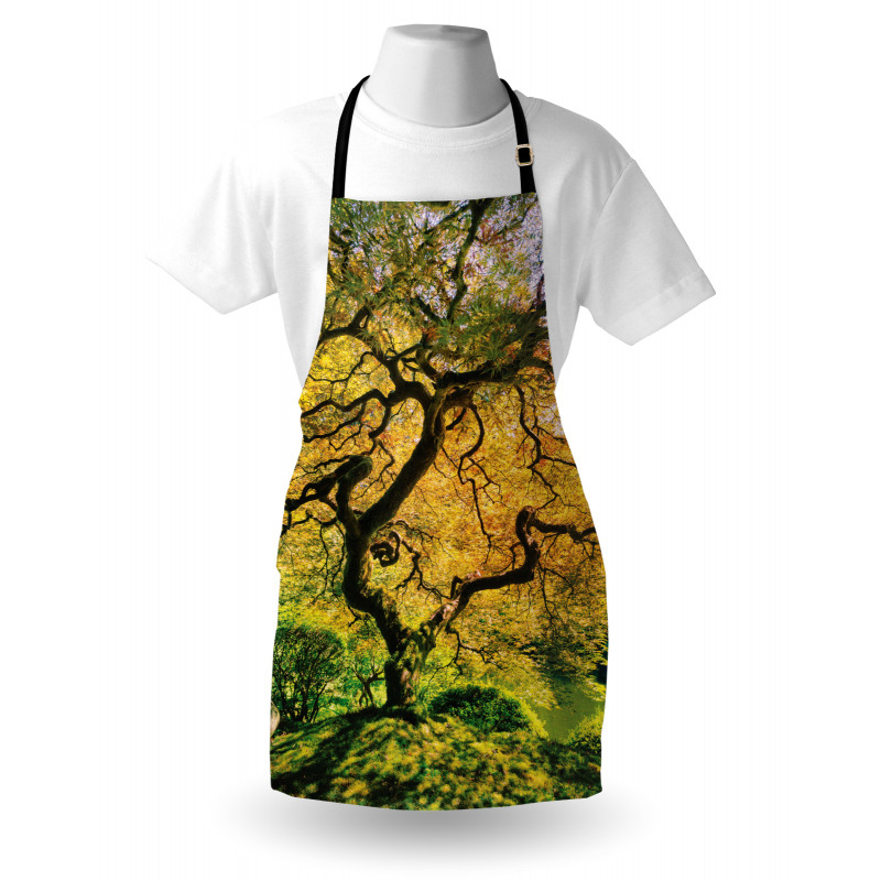 Large Maple with River Apron