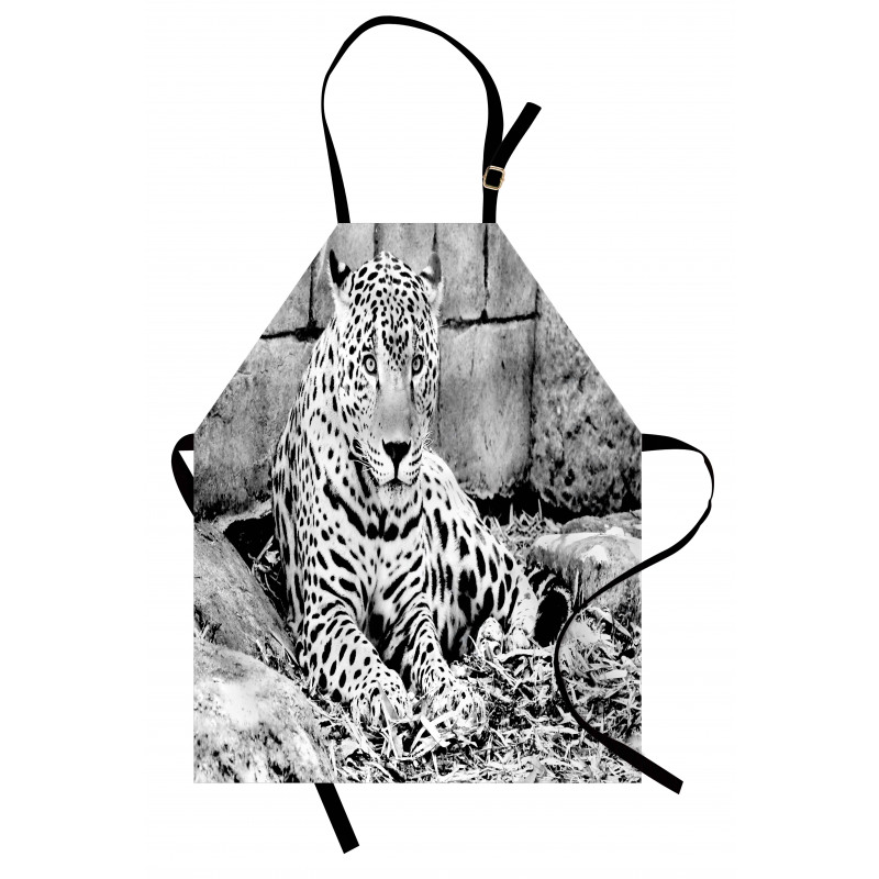 Wild Tiger Jaguar Apron