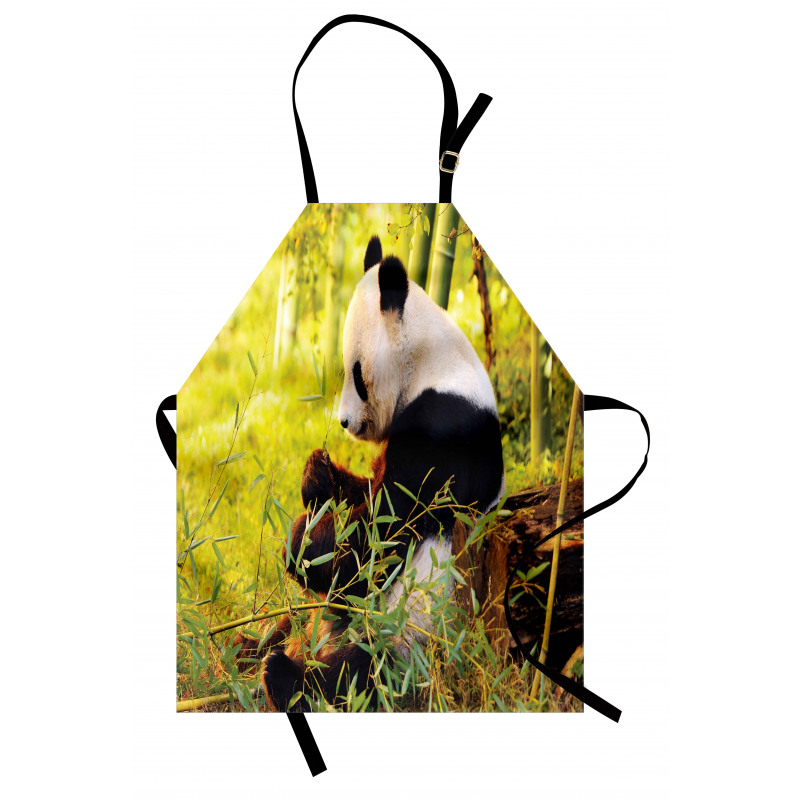 Hayvan Deseni Mutfak Önlüğü Bambu Yiyen Panda