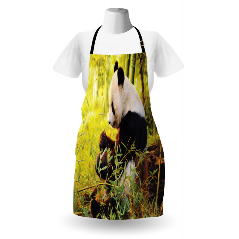 Panda Sitting in Forest Apron