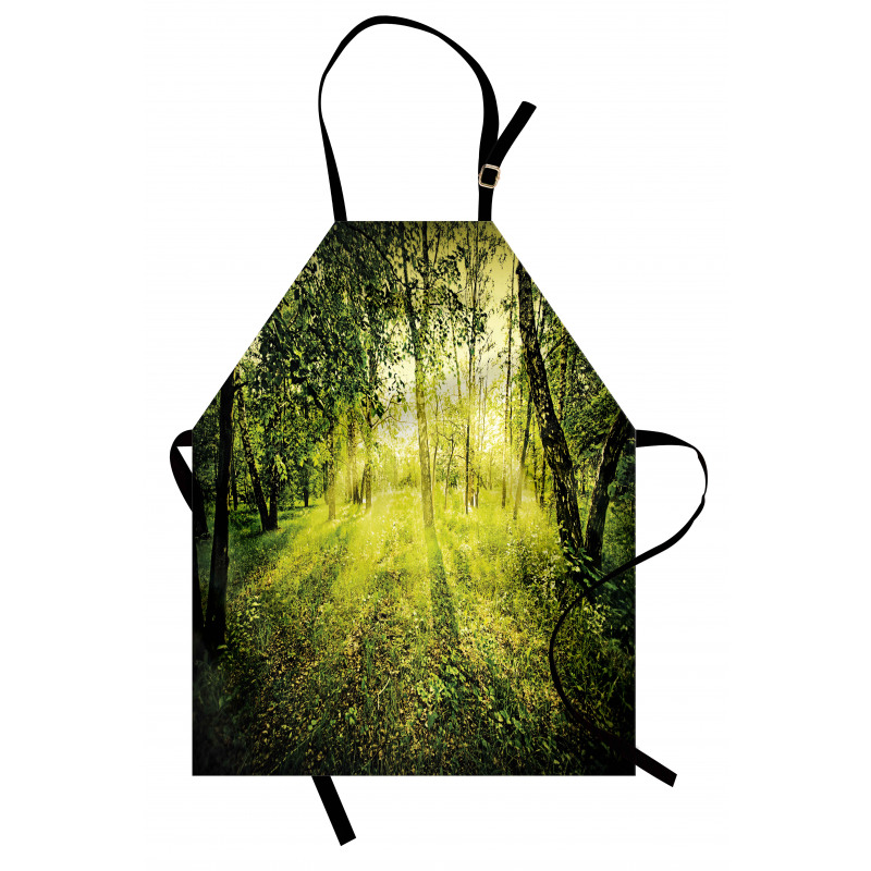 Scenic Morning in Nature Apron