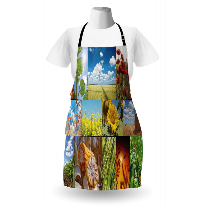 Sunflower Corn Wheat Apron